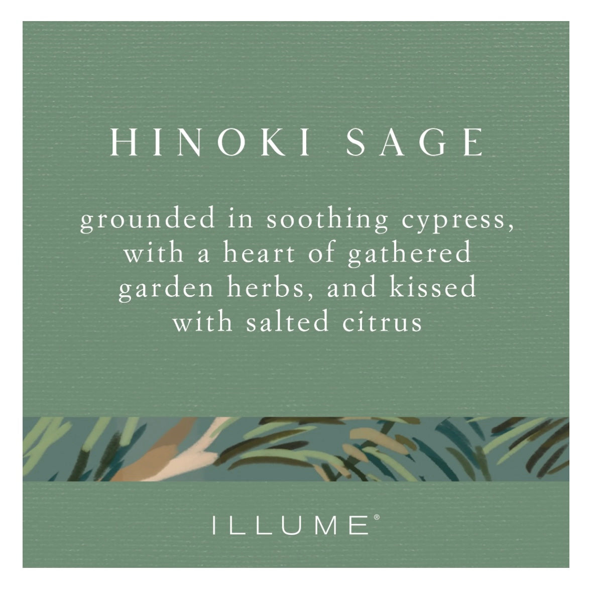 Illume - Hinoki Sage Demi Vanity Tin