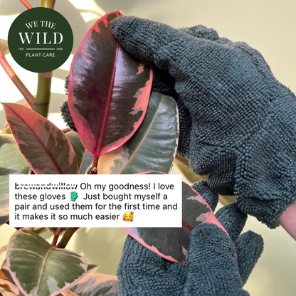 Leaf Cleaning Gloves